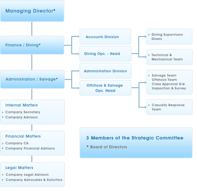 Company's Management Structure