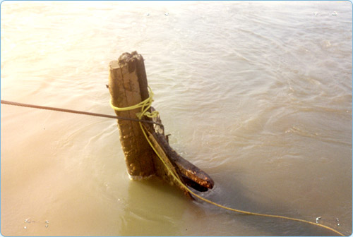 Salvage off Cross Island in Mumbai Harbour